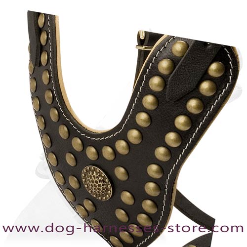 Y-Shape Leather Dog Harness Decorated With Studs