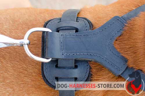 Reliable leather dog harness with nickel D-ring