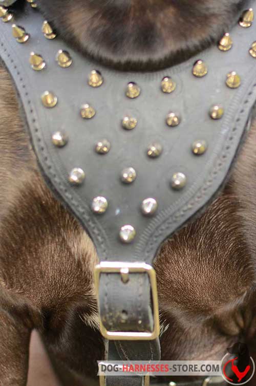 Y-shaped leather dog harness with spiked chest plate