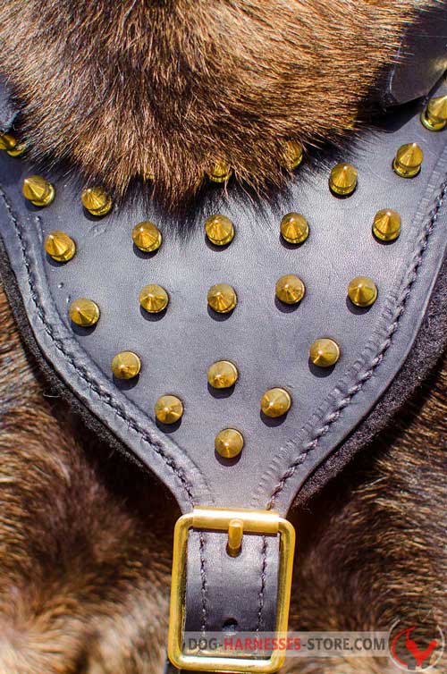 Leather dog harness with spiked chest plate