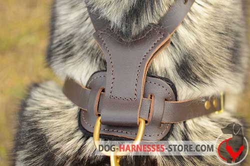 Stainless leather dog harness 