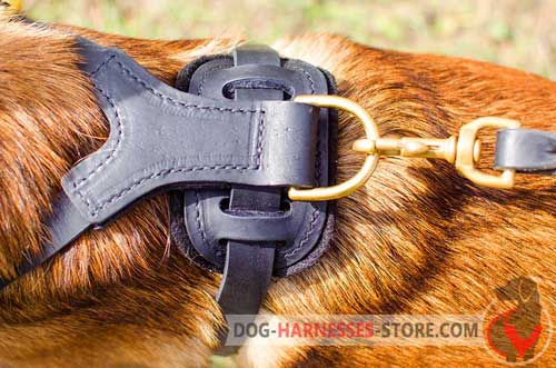 Leather dog harness with rust-proof hardware 