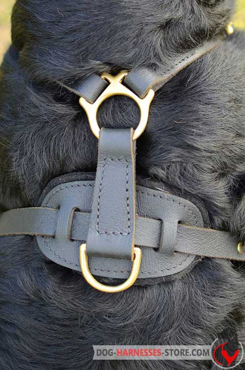 Leather dog harness with D-ring for the leash
