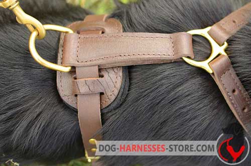 Brass D-ring for leather dog harness