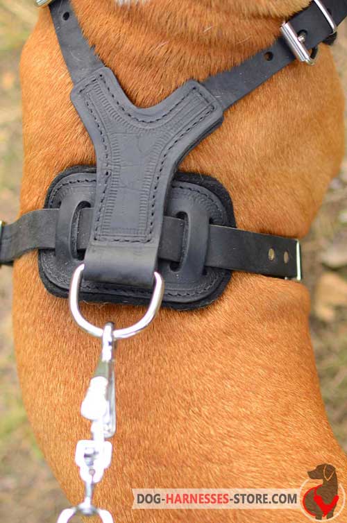 Leather dog harness with nickel fittings 