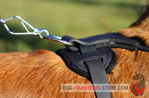 D-ring for leash attachment