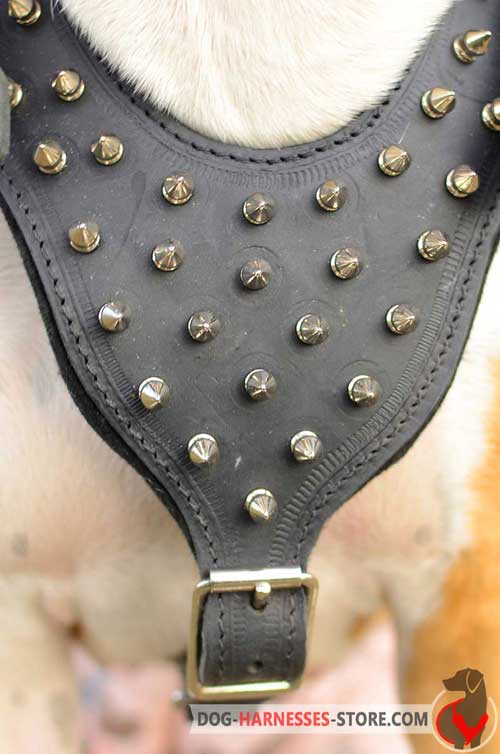 Spiked leather dog harness  