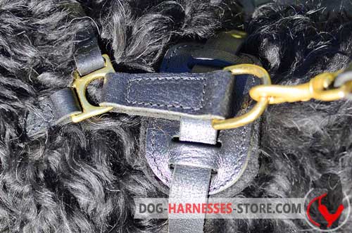  Leather dog harness with rust-proof hardware