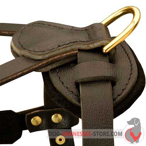 Durable leather dog harness with brass D-ring