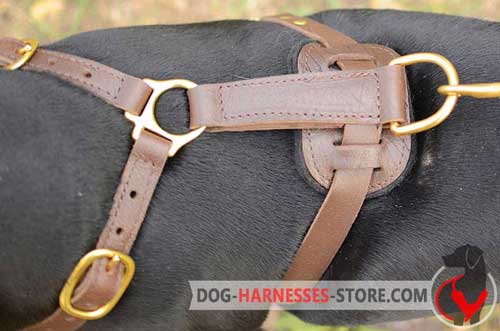 Leather dog harness with brass hardware