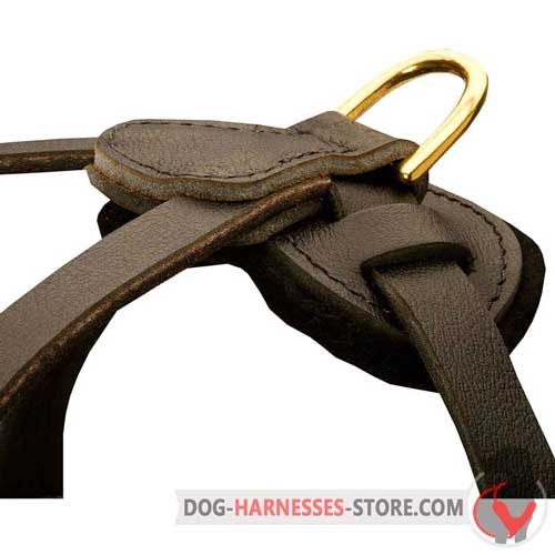 Multifunctional leather dog harness with D-rings