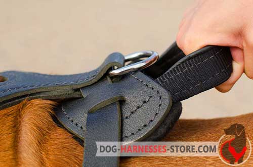 Handy leather harness with control handle