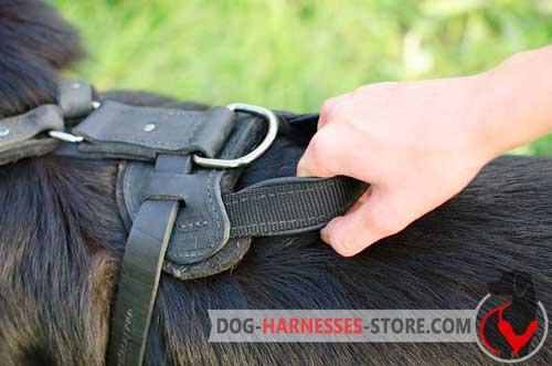 Strong Leather Handle for Better Control Over Your Dog