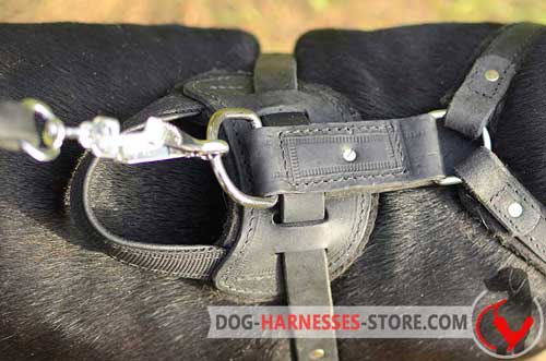 Rust-resistant leather dog harness