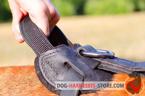 Strong Leather And Nylon Handle for Better Control over Your Dog
