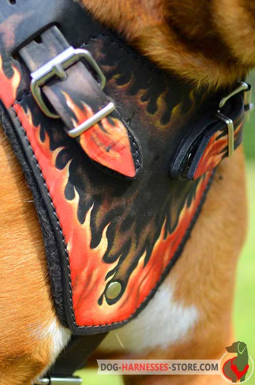 Handpainted leather harness with padded plate