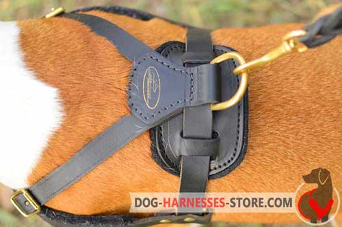Leather dog harness with stainless ring and snap hook