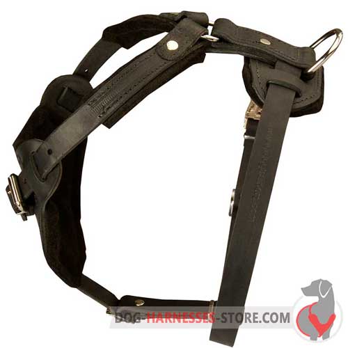 Leather Dog Harness Equipped with Solid Brass Fittings