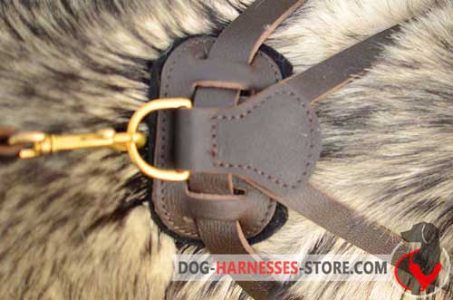 Leather Dog Harness with Sturdy Ring for Leash Attachment