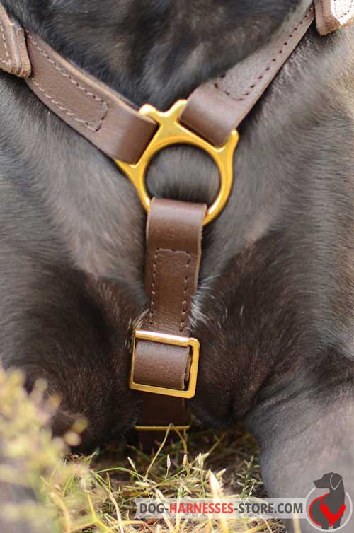Leather dog harness without chest plate