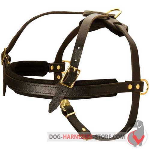 Pulling  and tracking leather dog harness for working canines