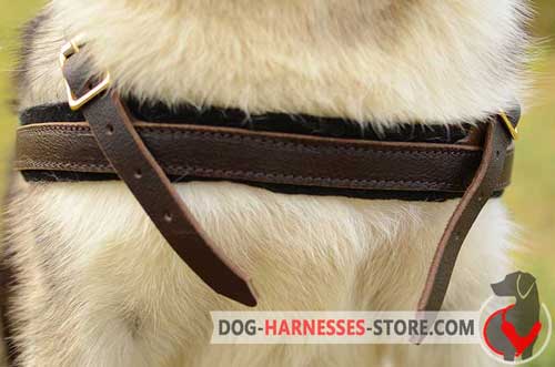 Leather Dog Harness Front Strap Padded with Soft Felt