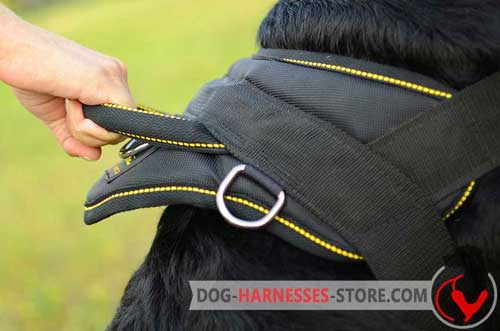 Nylon Dog Harness Back Plate Wide with Stitched Handle