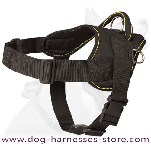 Pulling Nylon Harness Safe For Dogs