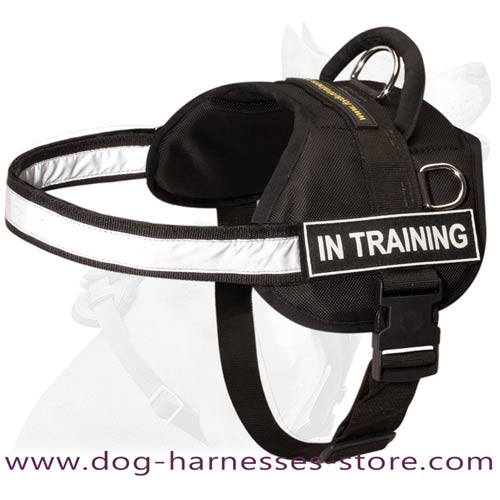 Strong Nylon Dog Harness With Reflective Strap