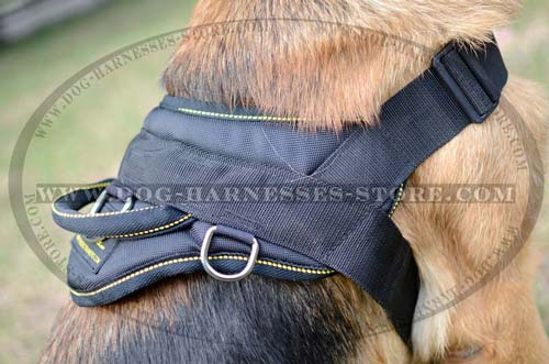 All Weather Nylon Dog Harness With Comfortable Handle