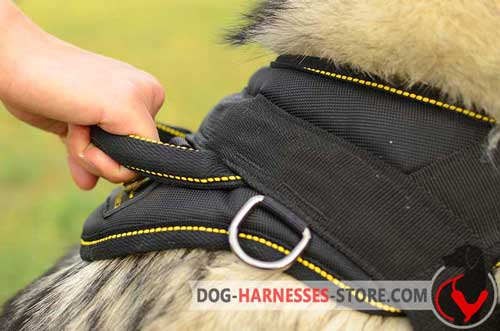 Nylon Dog Harness with Comfortable Strong Stitched Handle