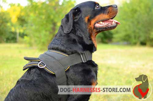 Nylon Rottweiler Harness For Pulling