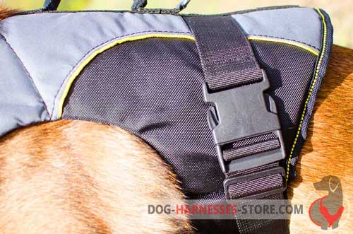Rehabilitation dog harness made of adjustable nylon 