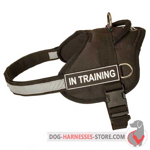 Comfy nylon harness with reflective strap