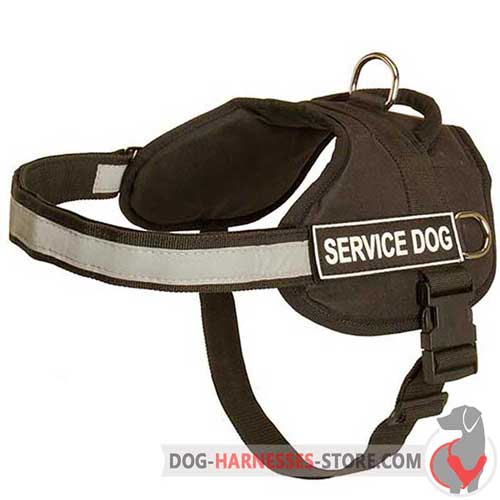 Reliable dog harness with reflective strap for night activities