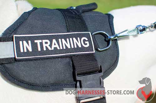  Identification nylon dog harness with patches