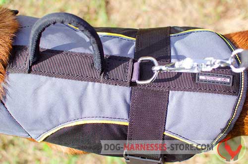 Nylon dog harness equipped with nickel D-ring for the leash 