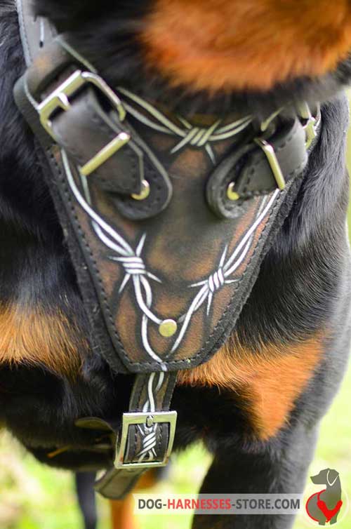 Padded Dog Harness Front Plate Painted with Barbed Wire