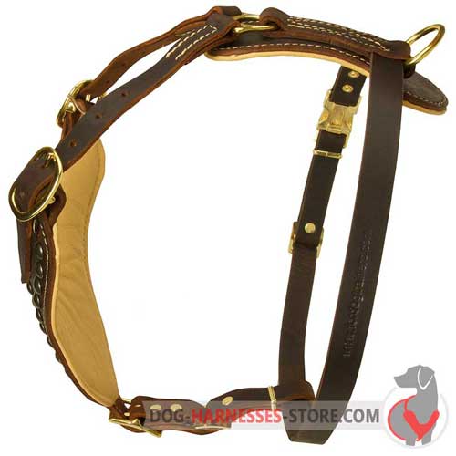 Comfy leather dog harness with padded plate