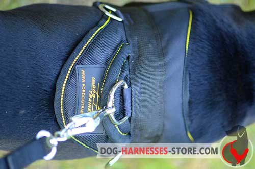 Pulling dog harness with extra D-ring for attaching a leash