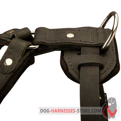 Nickel Plated Hardware on Leather Dog Harness