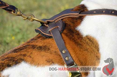 Leather Dog Harness with D-Ring