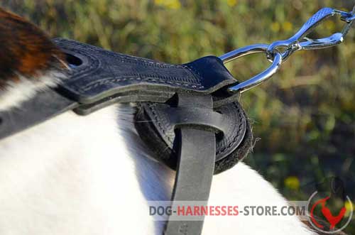 Durable leather dog harness with sturdy D-ring for leash