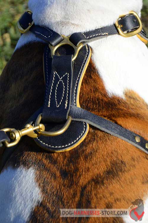  Leather dog harness for tracking and walking