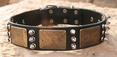 Dog Leather Dog Collar-massive bras plates+3 spikes
