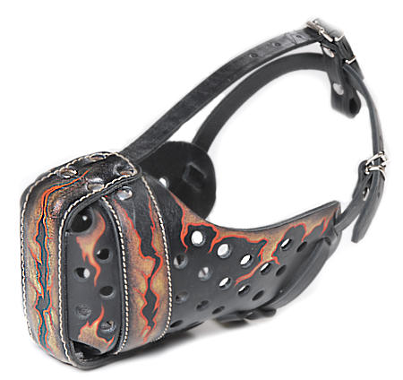 Hand painted by our artists leather Muzzle "Dondi" Plus - FLAMES