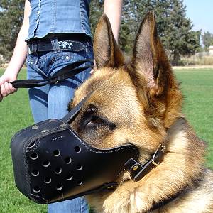 Leather dog muzzle "Dondi" style- agitation dog muzzle m55