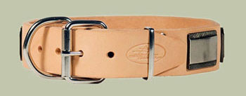 leather dog collar with big plates