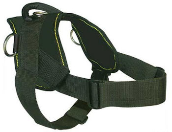 Spinone Italiano Nylon dog harness for Wire-Haired