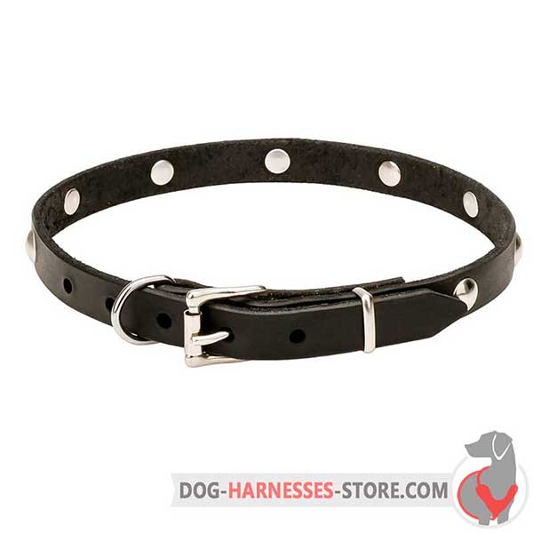Buckle Leather Dog Collar Decorated with Half-Ball Studs